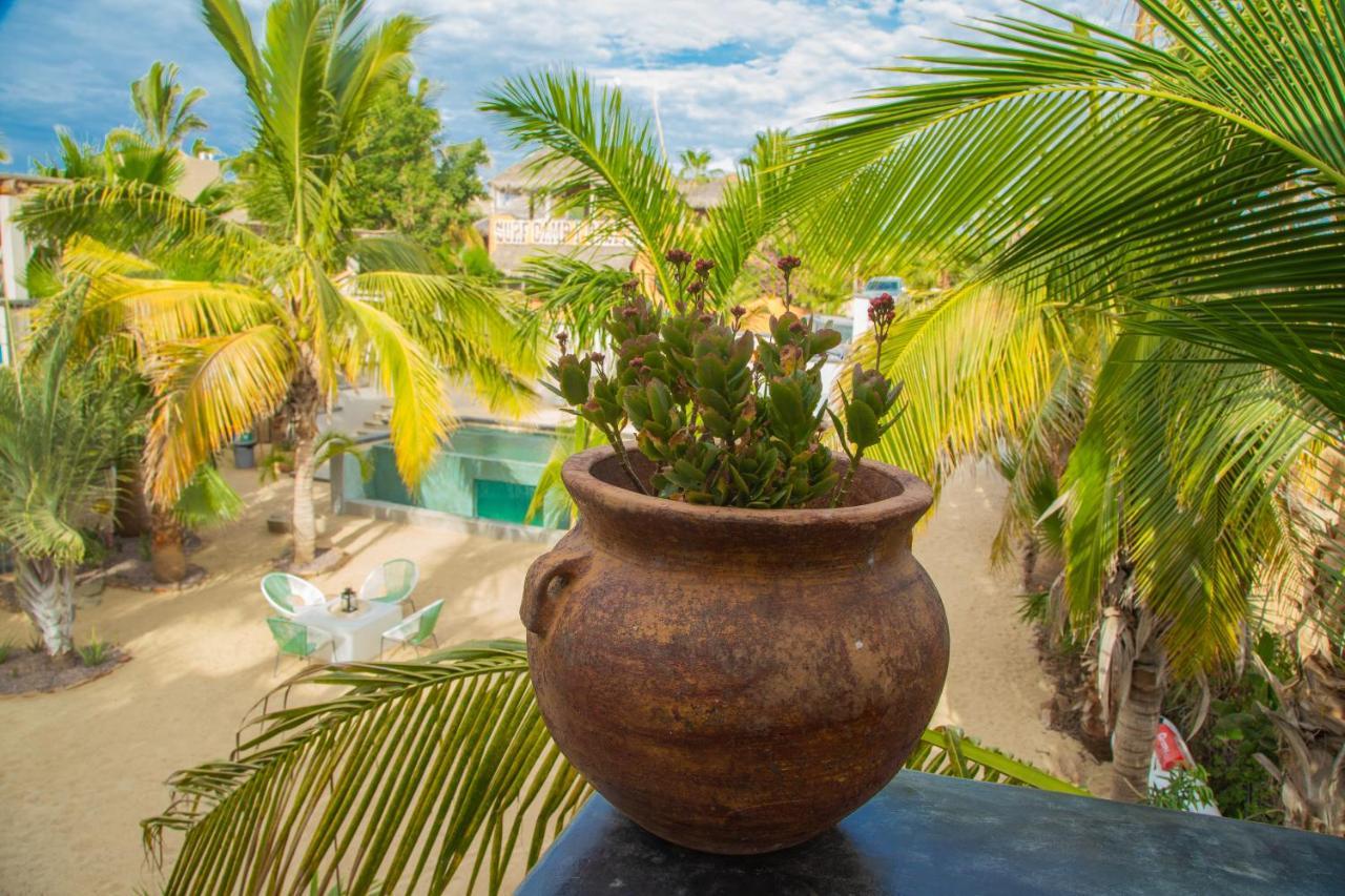 Pure Baja Private Suites-Upscale Property With Infinity Pool And Lush Gardens El Pescadero  Zewnętrze zdjęcie