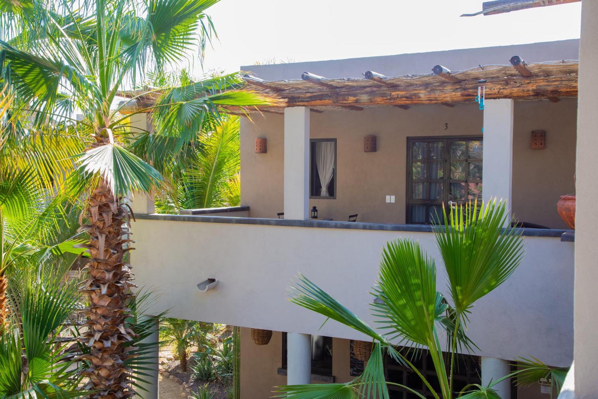 Pure Baja Private Suites-Upscale Property With Infinity Pool And Lush Gardens El Pescadero  Zewnętrze zdjęcie