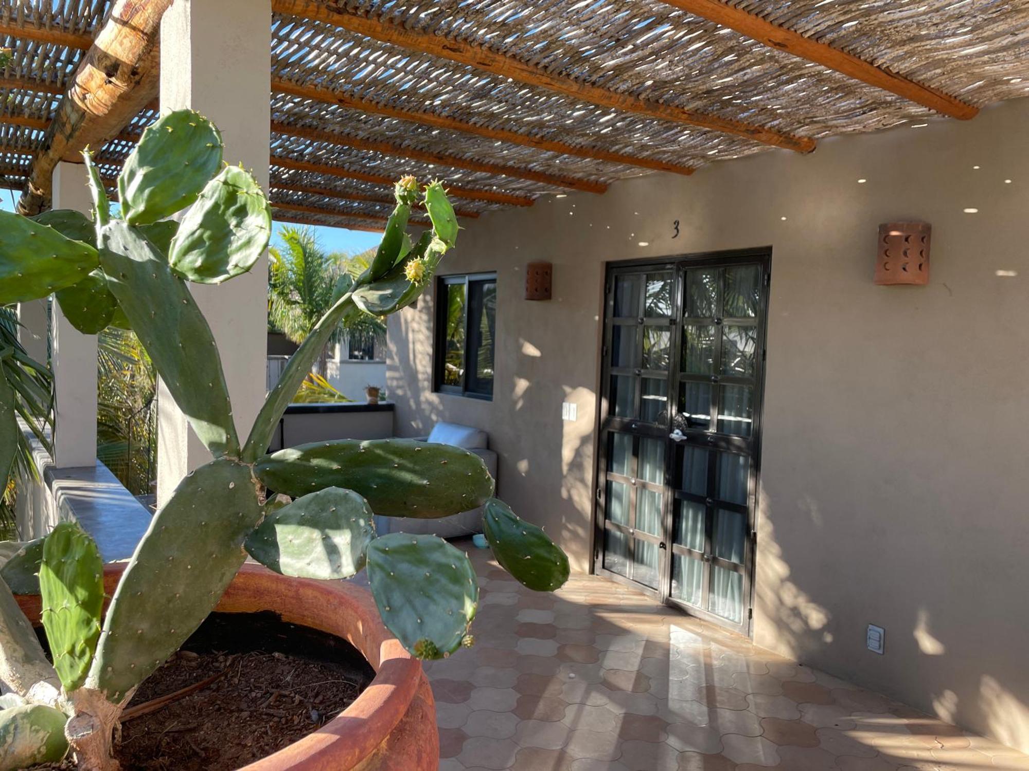 Pure Baja Private Suites-Upscale Property With Infinity Pool And Lush Gardens El Pescadero  Zewnętrze zdjęcie